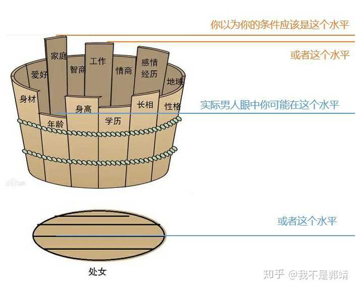 新木桶效应,要想去相亲,看来还得多做功课阿!