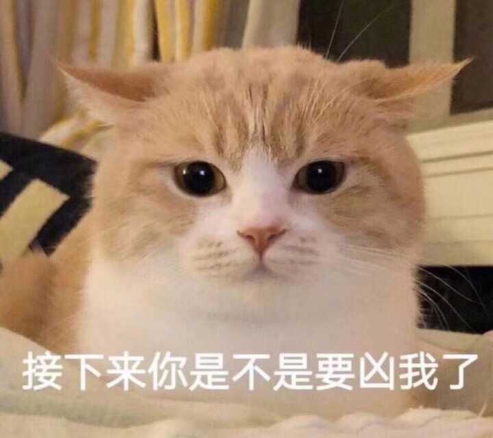 嘻嘻嘻这次又收集了一些可爱的猫猫表情包回来分享给大家 新的表情包