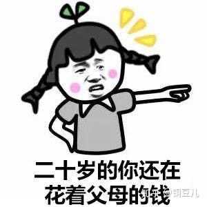 人家认为,靠父母不叫啃老,叫合理利用资源.