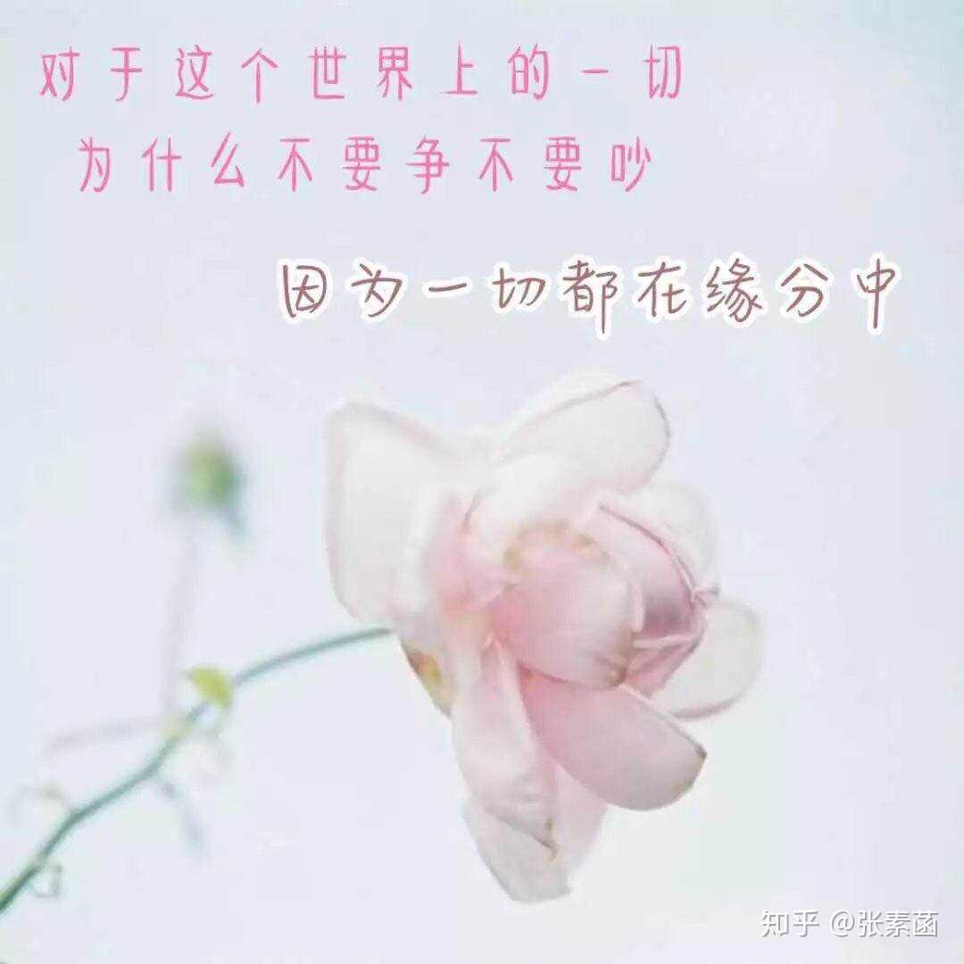 我问心:如何能做好自己? 心告诉我,好… - 知乎