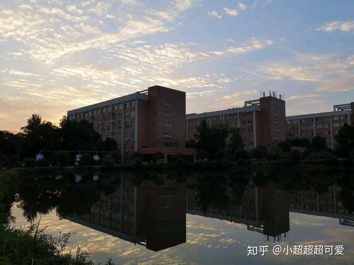 中南林科大涉外学院怎么样?