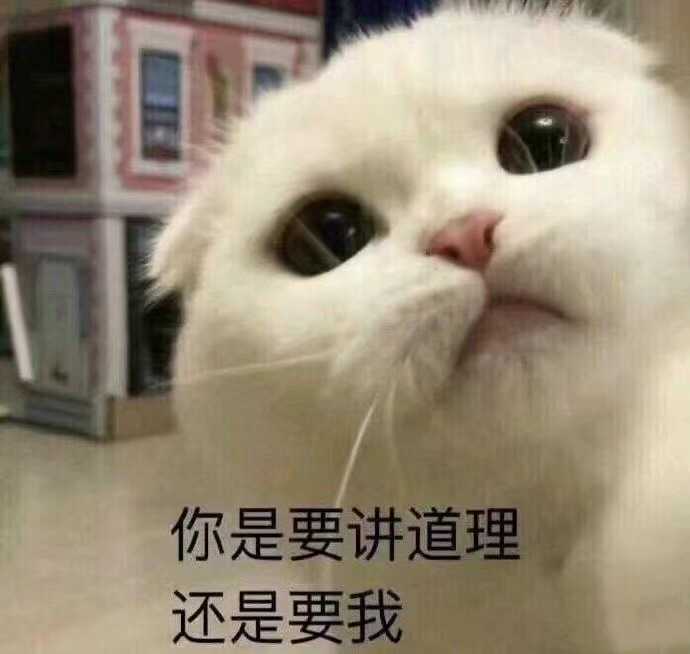 有什么可爱的动物表情包?