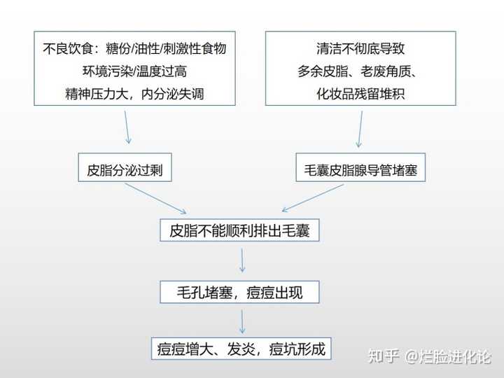 二,痘痘到底怎样形成的?  我做了张流程图,来 感受一下