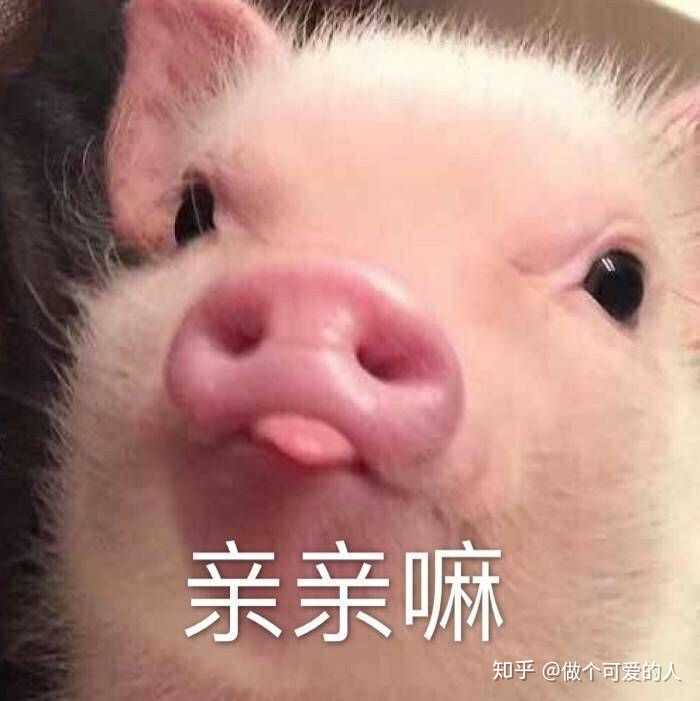 有什么可以和女朋友聊天时用的表情包?