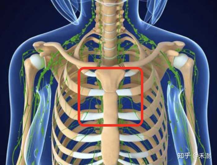 特别是第2和第3肋软骨与胸骨联合处较多见(锁骨下方的位置)