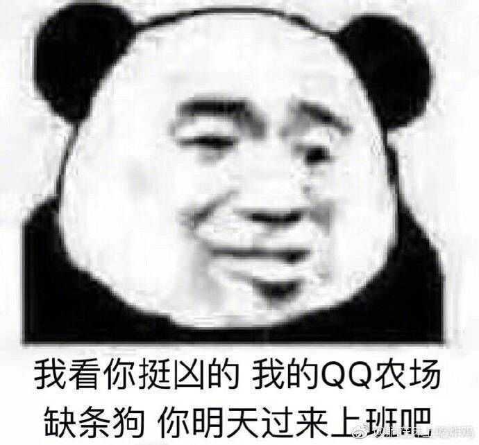 有哪些沙雕表情包?