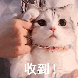 哪些表情包可以用来撩妹