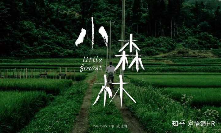 《小森林》