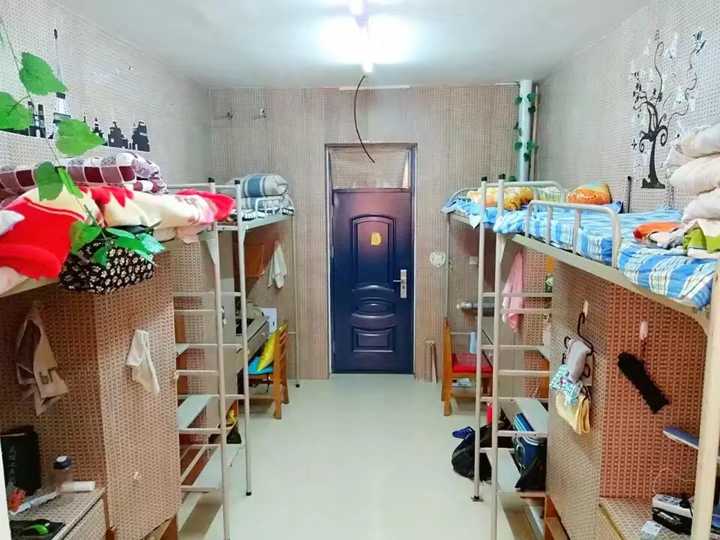 在洛阳师范学院一种什么体验?