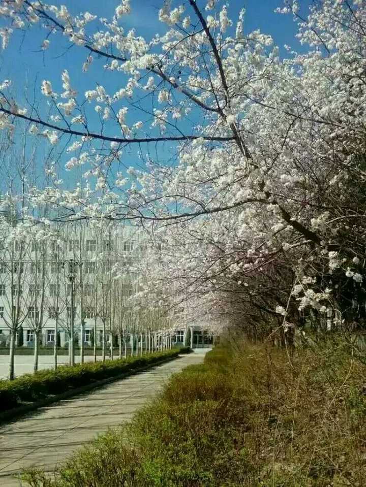 海林市高级中学北高过之何感