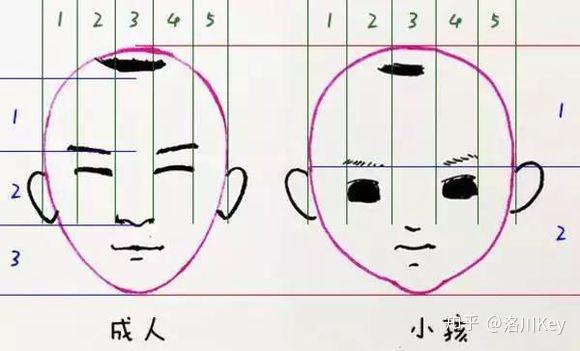 但是小孩的五官比例从眉毛以下可以一分为二,除了头颅中大脑发育需要