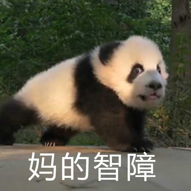 9月水逆退散( _) 在更一点熊喵的吧!  熊猫的表情包是在微博找到的.
