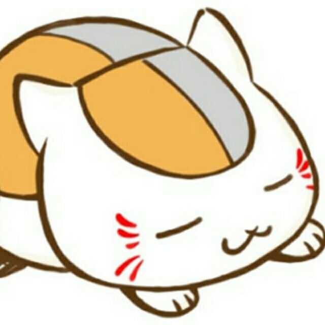 他的头像就是我抱在怀里的猫咪老师啊       一般人都发现不了