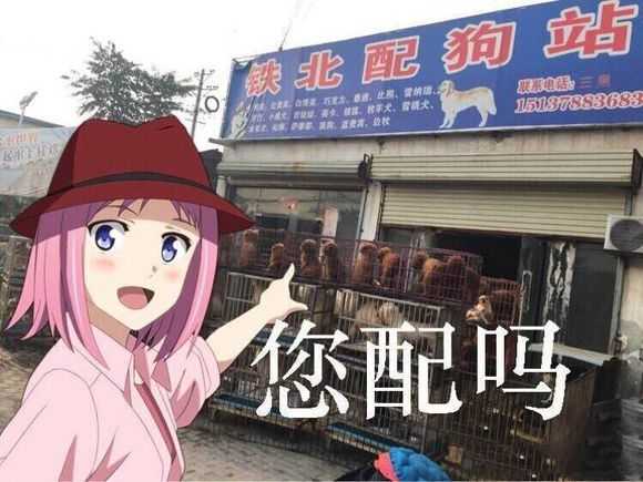 有没有沙雕搞笑的动漫表情包鸭?