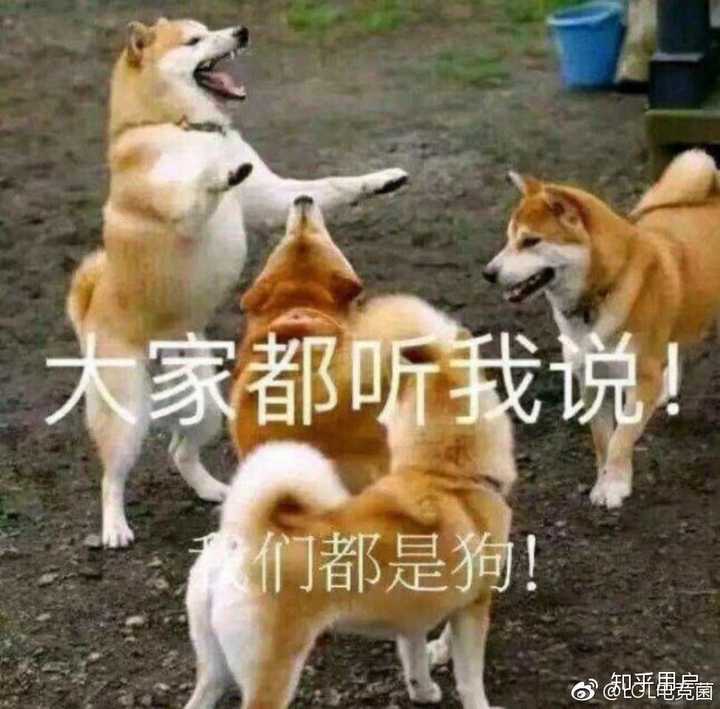 大家停一停,都别吵了!听我说!