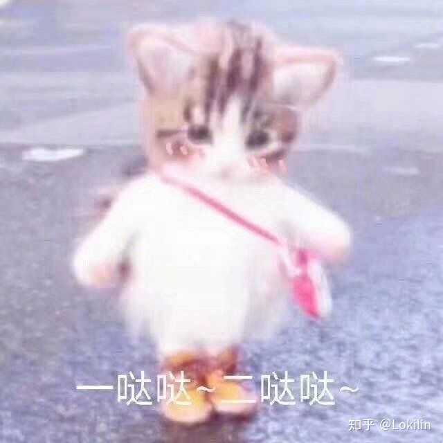 啥类型的表情包都有 可以的话点个赞再走吧 啵啵啵 泻药 作为表情包届