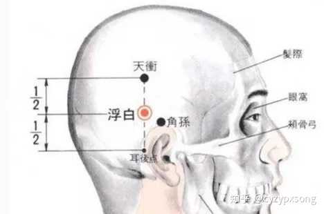 浮白准确位置图 知乎