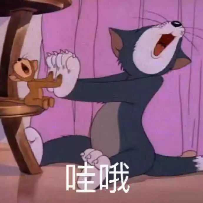 有哪些适合怼男朋友的表情包?