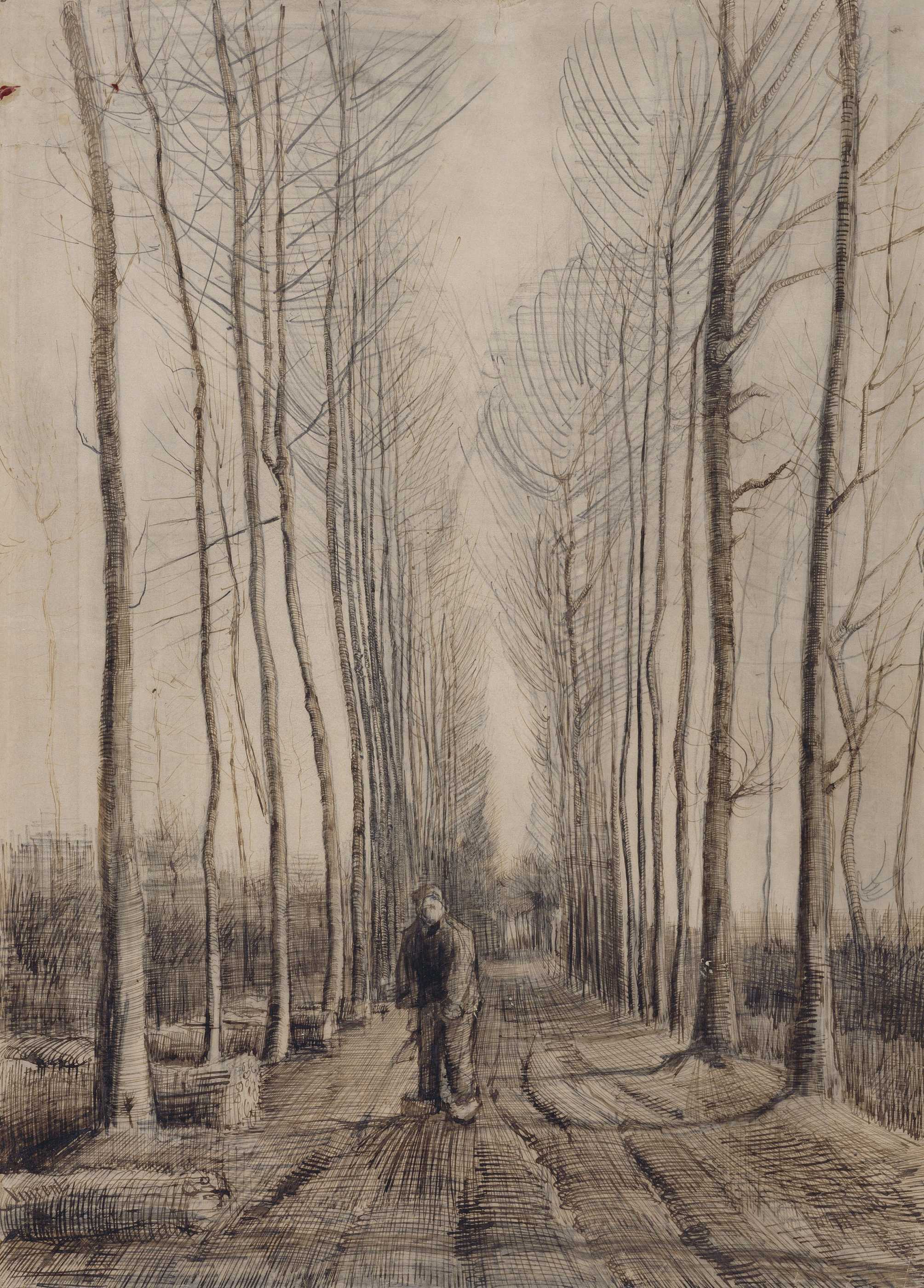 梵高《杨树林荫道,1884年3月