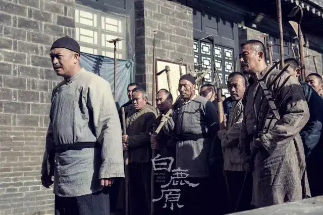 如何评价张嘉译主演的电视剧《白鹿原》?