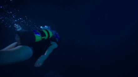 有哪些深海恐惧症看了会害怕的图片?