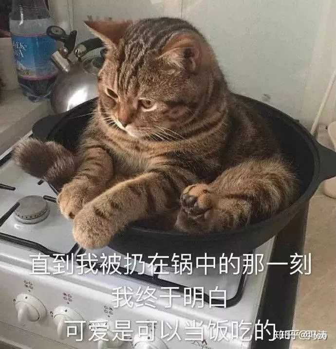 医生说我胃不好,只能吃软饭