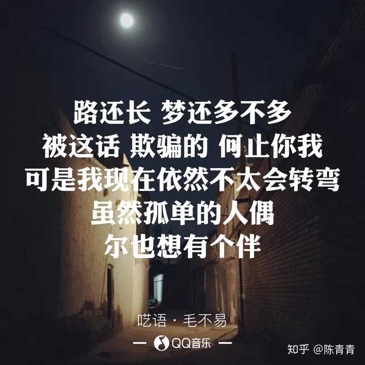 你怎么看毛不易的《呓语》?