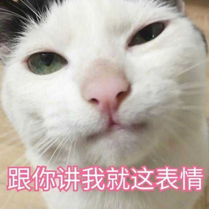 我手机里猫咪的表情包多又多,用猫咪的表情包很萌很贱贱的感觉 可萌