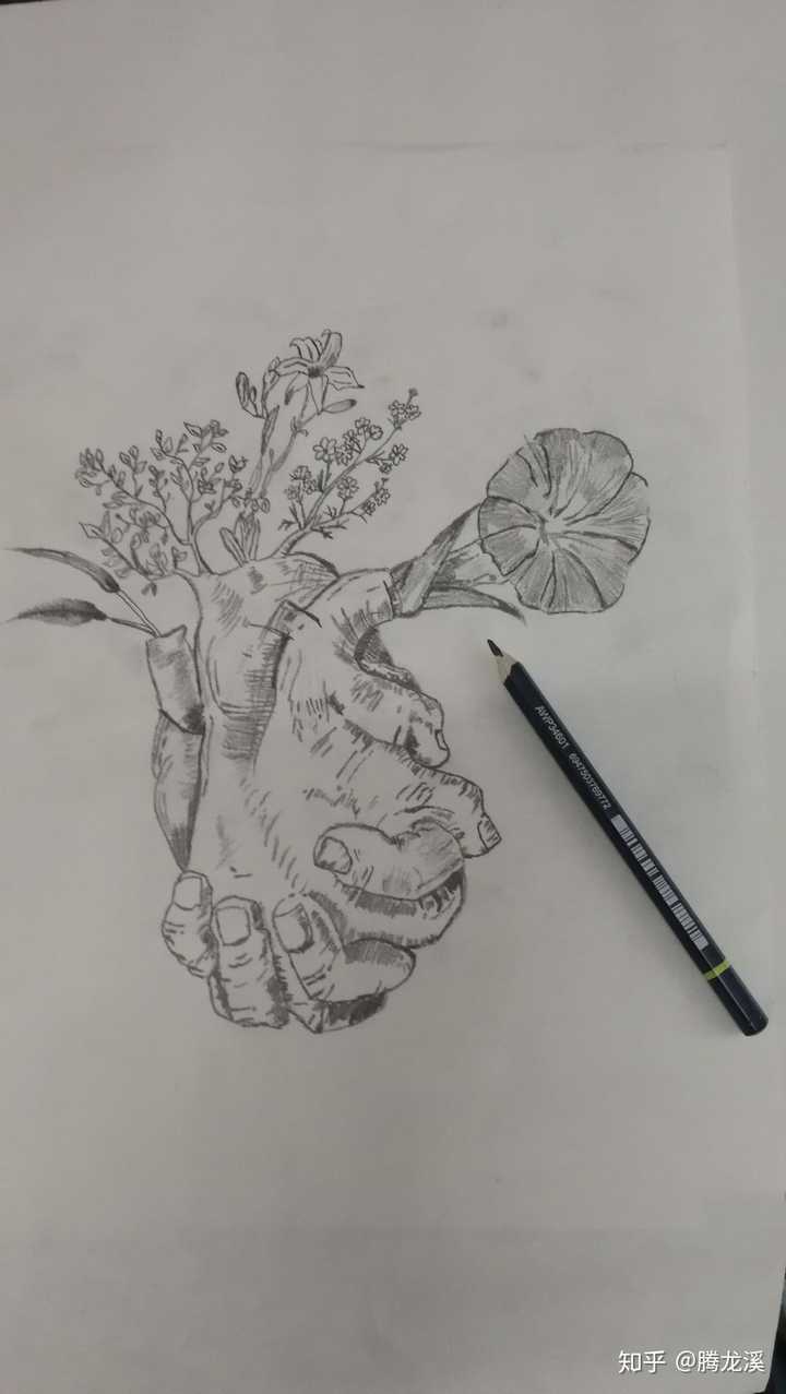 有哪些医学绘画作品可以拿来分享?