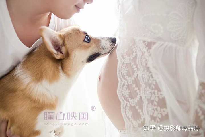 孕妇照有没有拍的很好看的,推荐一下,风格要多样化?