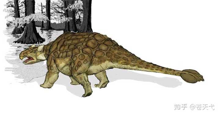 曾经在白垩纪末期,有一种恐龙叫甲龙