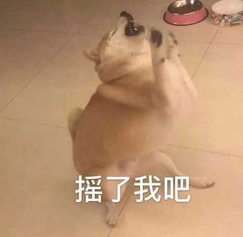 我我我,终于又回来啦!(这次沙雕表情包比较多,欢迎存图!