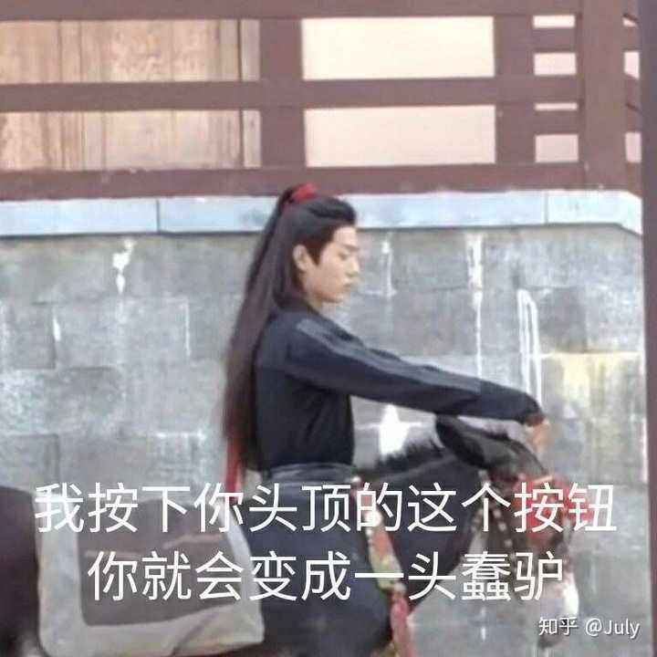 可以分享一下关于《陈情令》的无水印表情包吗?