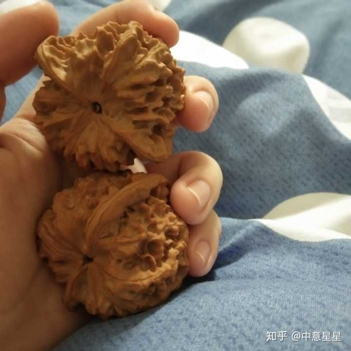 怎么看待年轻人玩文玩核桃?