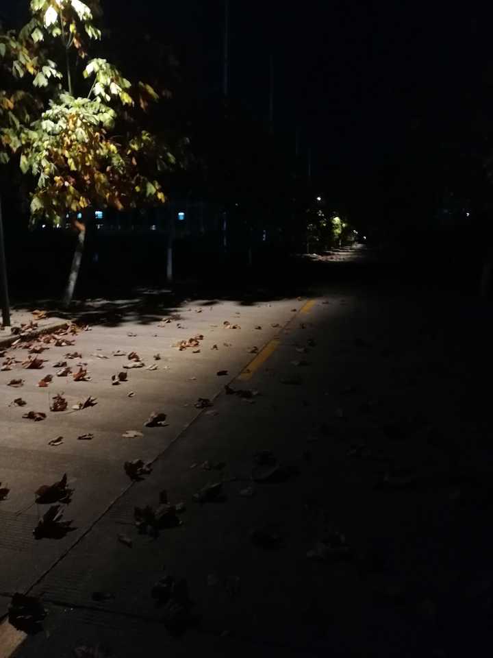 深秋,晚上十一点多散步的时候拍的校园