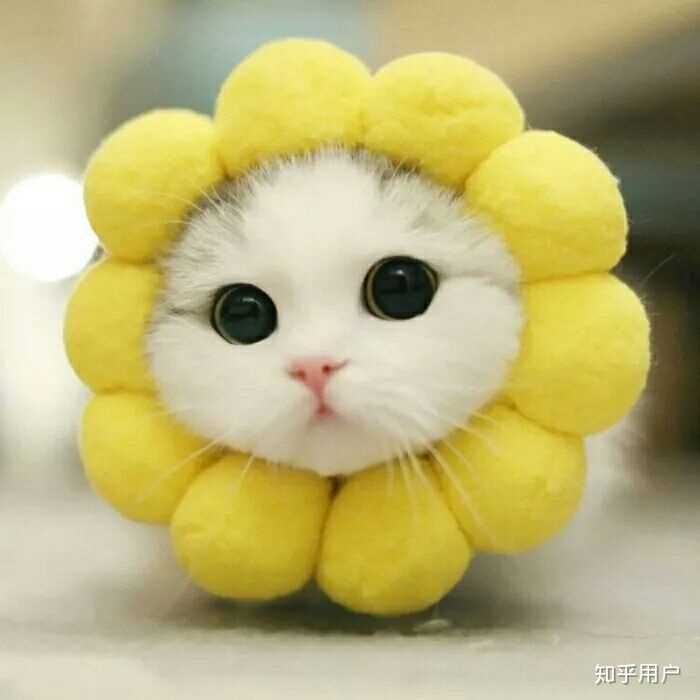 有什么元气满满的头像?