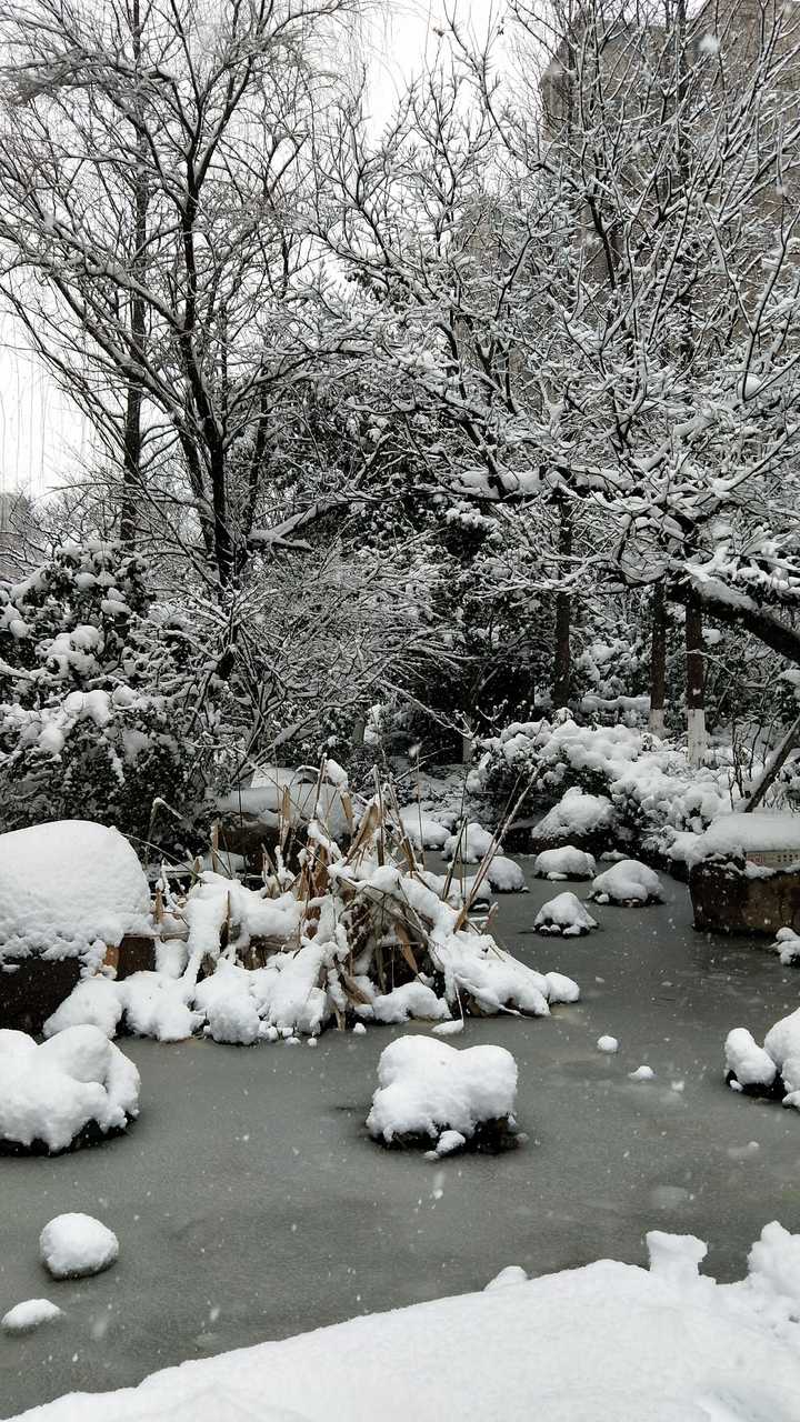 你的城市下雪了吗,可以用视频分享雪天可以做的有趣事情或者雪景吗?