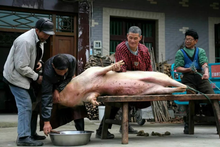 杀年猪,左二为迎喜,7 年前拍摄(作者供图)