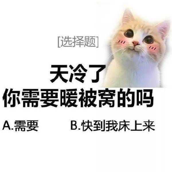 有没有男生用的跟女朋友聊天的表情包?