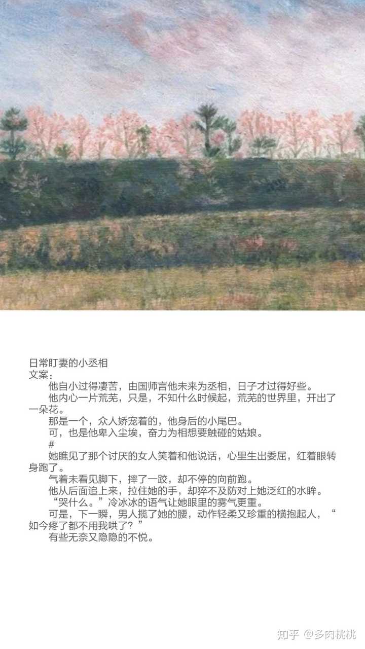 阿里里呀写的碧荷,内容有真实度吗?
