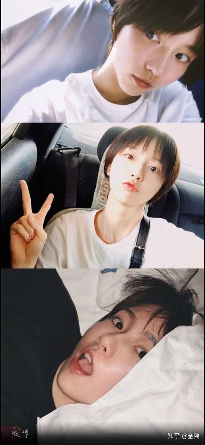 有没爱5诸葛大力的壁纸?