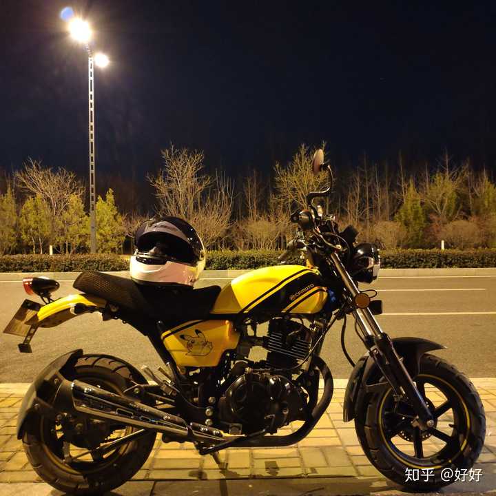 st狒狒,小暴龙这样的?