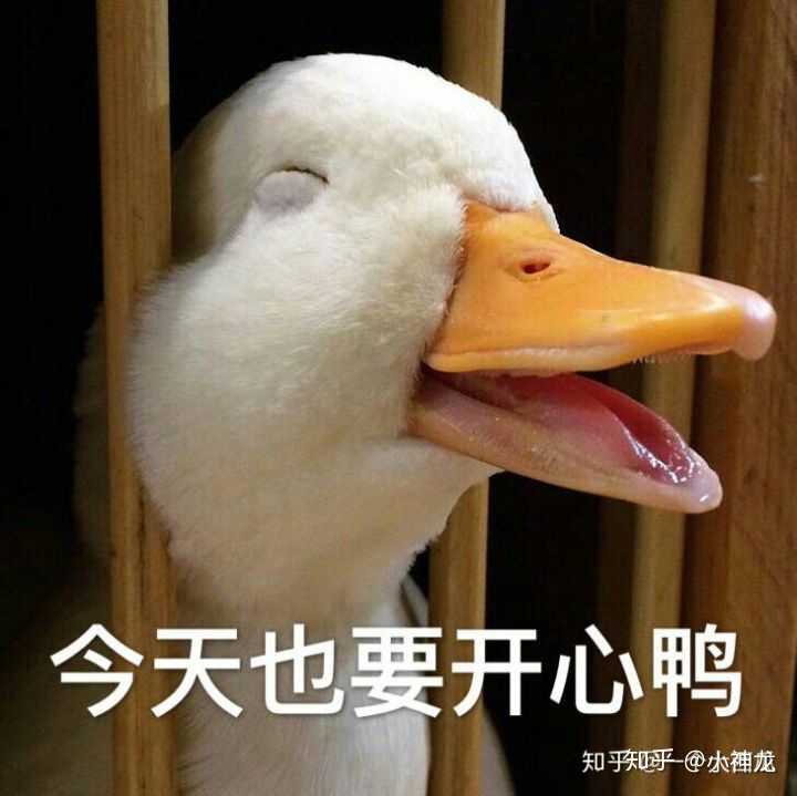 添加评论 分享 收藏 喜欢 收起 细嗅猛虎 因为直男觉得发发搞笑表情包