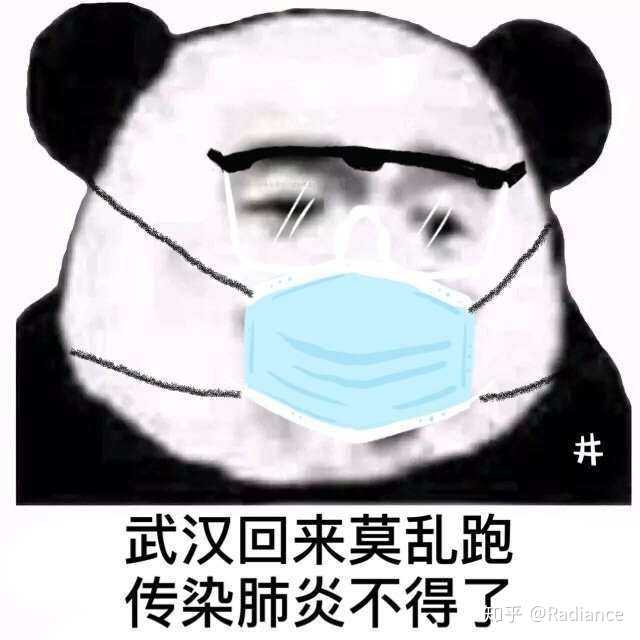 在大家共同抗击疫情的这几天产生了什么沙雕表情包/图片?