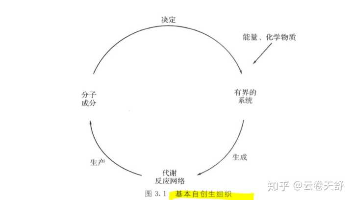 生命过程等于)认知过程吗?