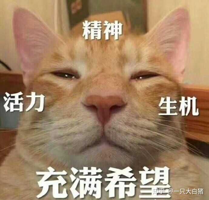 你们室友干过哪些沙雕的事?