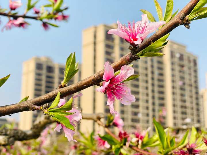 你拍过哪些能体现出「春天在这里」的照片?