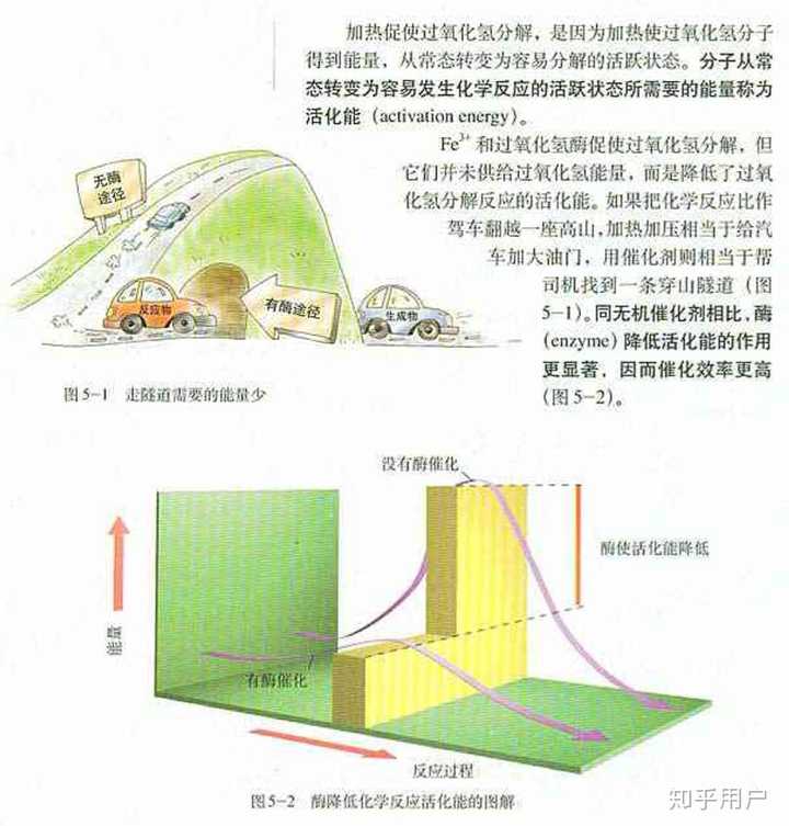 如下图: 活化能是指分子从常态转变为容易发生化学反应的活跃状态所