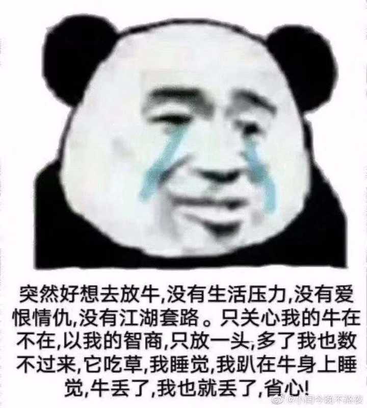 谐音梗真的很有趣!