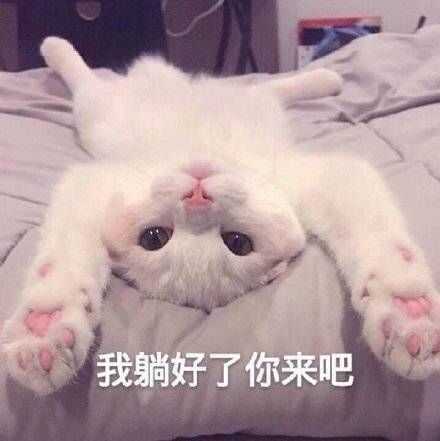 有什么撩女生的情话和表情包